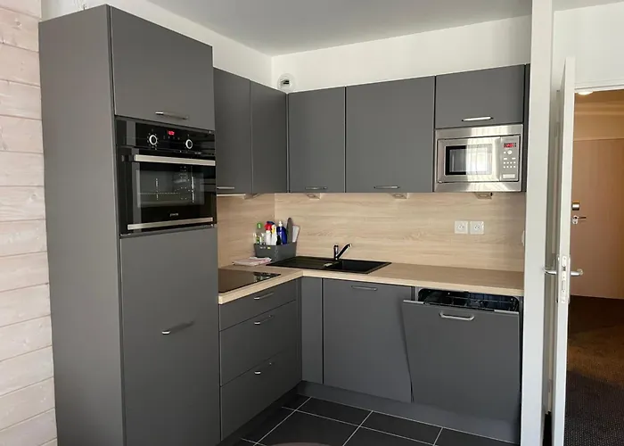 Gourette: 6 Pers, Balcon, Animaux Admis - Fr-1-860-20 Lejlighed